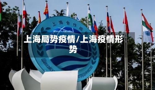 上海局势疫情/上海疫情形势