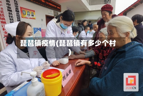 琵琶镇疫情(琵琶镇有多少个村)