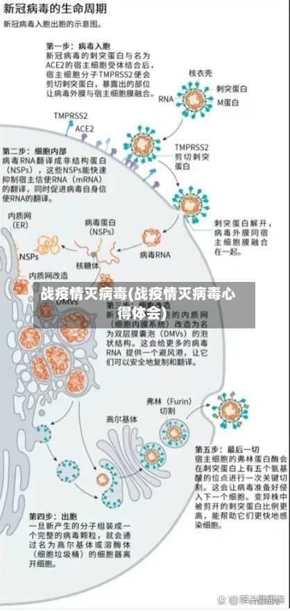 战疫情灭病毒(战疫情灭病毒心得体会)