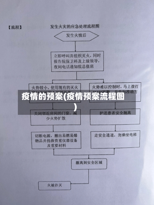 疫情的预案(疫情预案流程图)