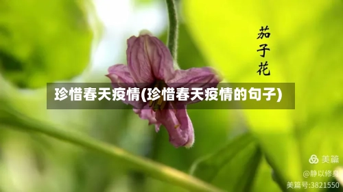 珍惜春天疫情(珍惜春天疫情的句子)