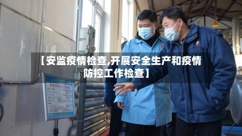 【安监疫情检查,开展安全生产和疫情防控工作检查】