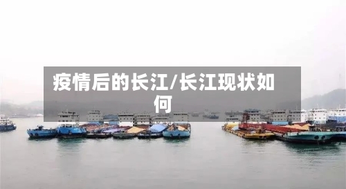 疫情后的长江/长江现状如何