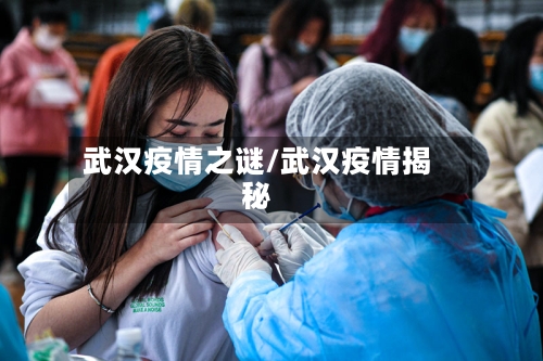 武汉疫情之谜/武汉疫情揭秘