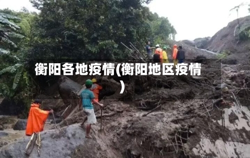 衡阳各地疫情(衡阳地区疫情)