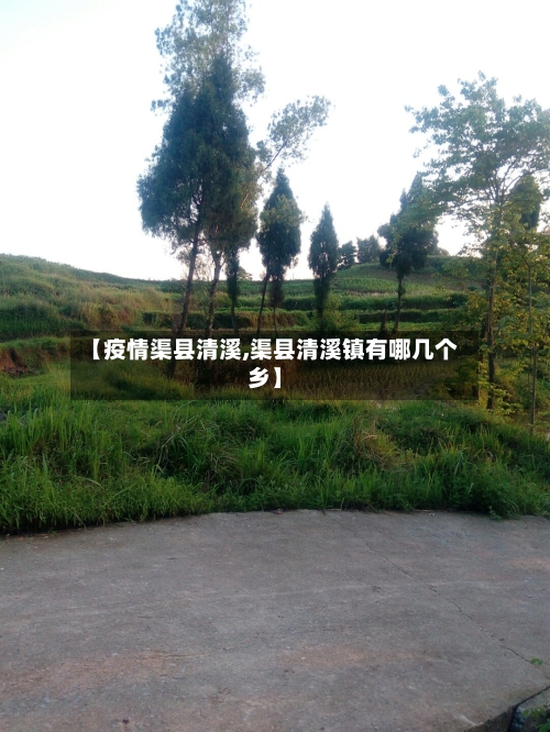 【疫情渠县清溪,渠县清溪镇有哪几个乡】