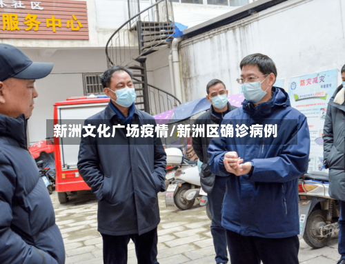 新洲文化广场疫情/新洲区确诊病例