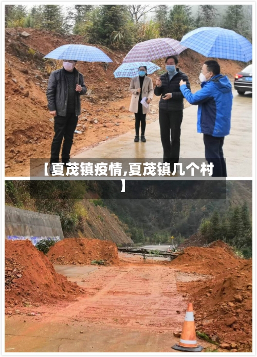 【夏茂镇疫情,夏茂镇几个村】