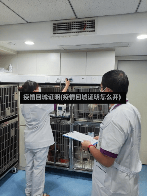 疫情回城证明(疫情回城证明怎么开)