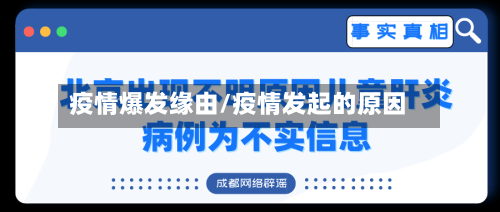 疫情爆发缘由/疫情发起的原因