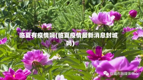 临夏有疫情吗(临夏疫情最新消息封城吗)