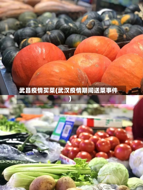 武昌疫情买菜(武汉疫情期间送菜事件)