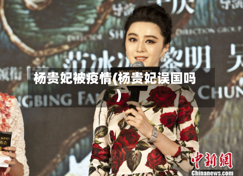 杨贵妃被疫情(杨贵妃误国吗)