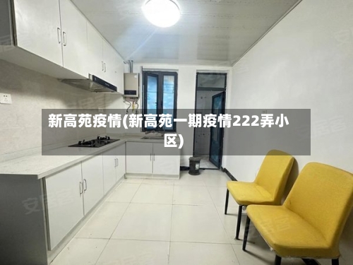 新高苑疫情(新高苑一期疫情222弄小区)