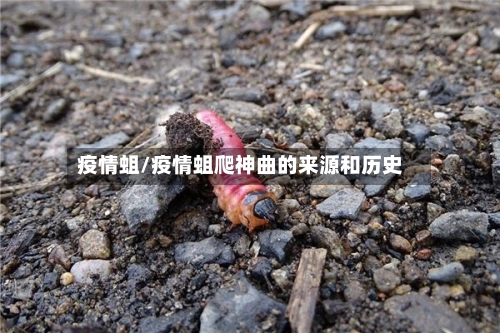 疫情蛆/疫情蛆爬神曲的来源和历史