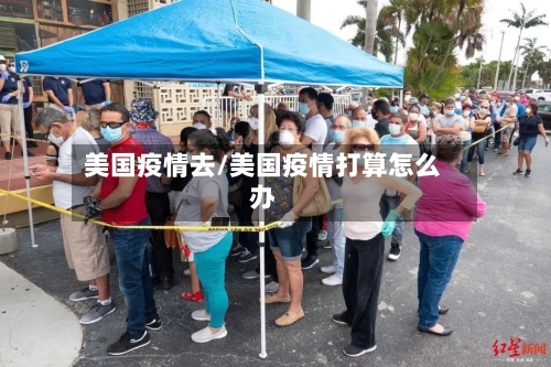 美国疫情去/美国疫情打算怎么办