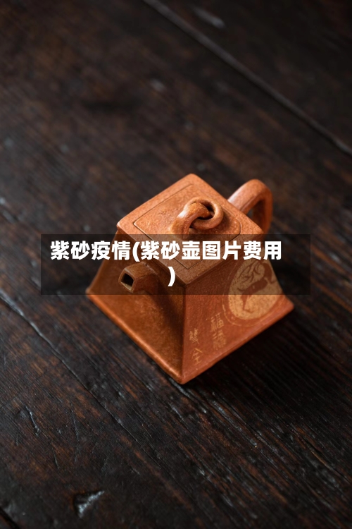 紫砂疫情(紫砂壶图片费用)