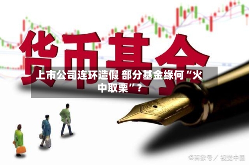 上市公司连环造假 部分基金缘何“火中取栗”?