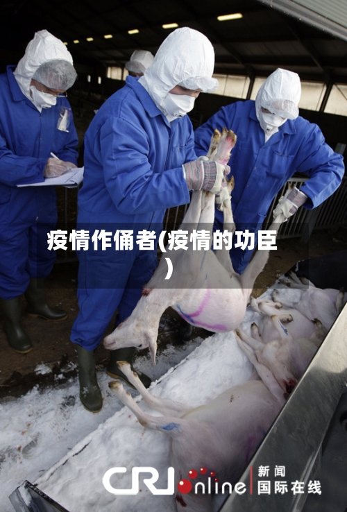 疫情作俑者(疫情的功臣)