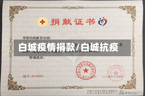 白城疫情捐款/白城抗疫
