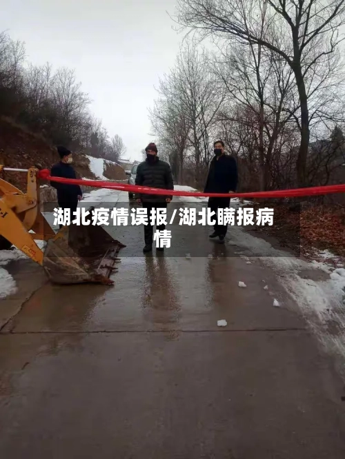 湖北疫情误报/湖北瞒报病情