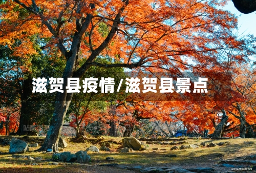 滋贺县疫情/滋贺县景点