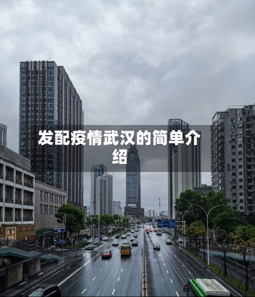 发配疫情武汉的简单介绍