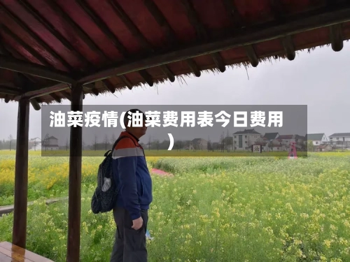 油菜疫情(油菜费用表今日费用)