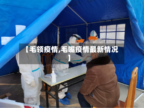 【毛领疫情,毛嘴疫情最新情况】